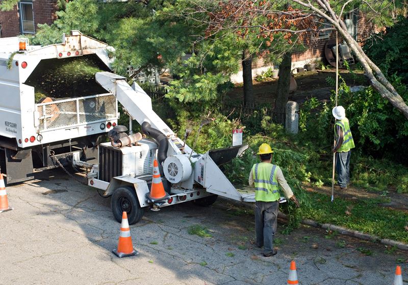 Omni Construction emergency response team clearing a storm-damaged tree